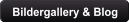 Bildergallery & Blog