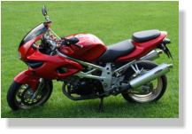 Meine RED DIVA - TL1000S