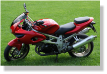 Meine RED DIVA - TL1000S